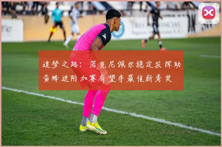 追梦之路：若克尼佩尔稳定发挥助黄蜂进附加赛有望夺最佳新秀奖